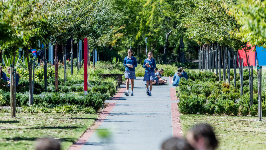 Two Luther College students walk down a foliage-lined pathway