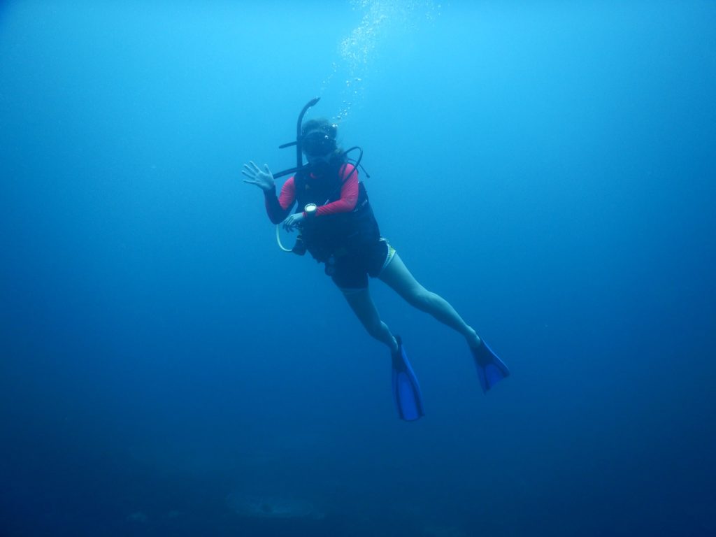 April Batchelor diving